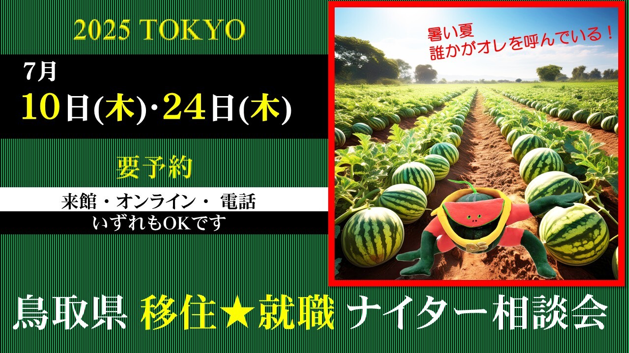 ナイター相談会202507　横.jpg